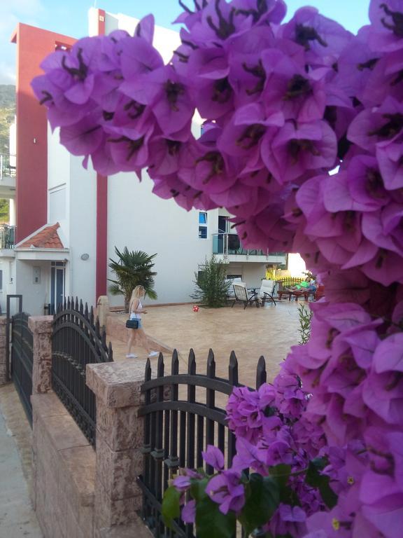Apartments Vila A1 ドプラー・ヴォダ エクステリア 写真
